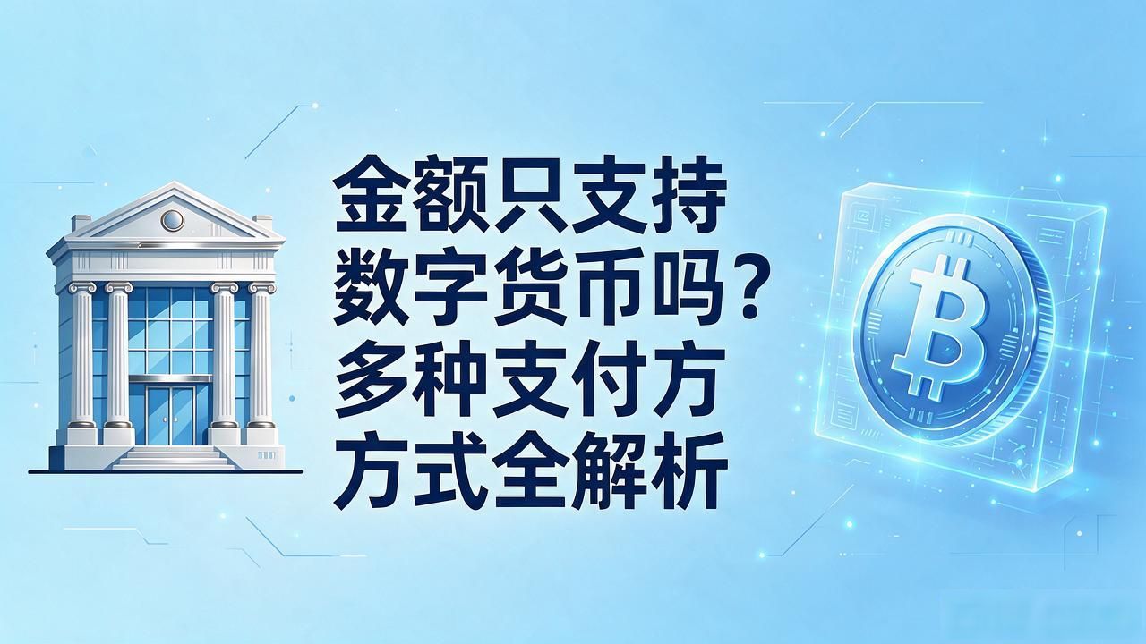 移动支付普及与现金使用_金额只支持数字货币吗_数字货币与传统支付方式
